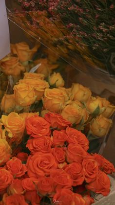 there are many orange roses on display in the store