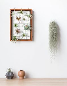 an air plant is hanging on the wall next to two vases with plants in them