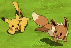 two pokemons running in the grass with one looking at the camera while another looks on