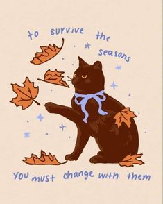 a black cat is sitting on its hind legs and has fallen leaves in the air