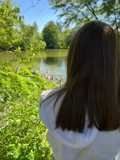 the back of a woman's head as she stands near a pond with ducks