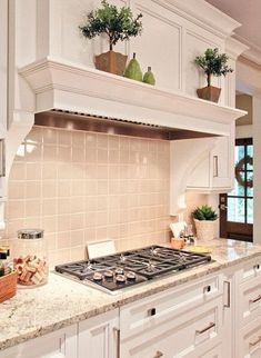 a kitchen with white cabinets and counter tops, potted plants on the top shelf