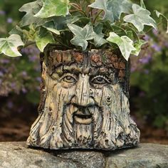 a tree stump with a planter shaped like a man's face on it