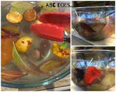 three pictures of leaves and other things in a glass bowl with water, one is red and the other is green