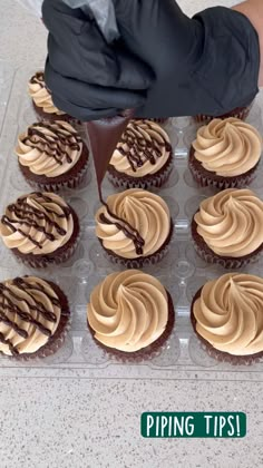 twelve chocolate cupcakes in a plastic container on a counter top with the words cupcake decoration tips