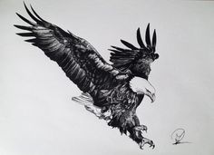 a drawing of an eagle flying in the air with its wings spread out and taloning it's claws