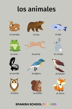 the spanish language poster shows different types of animals and their names in english, spanish, and