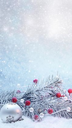 a white christmas ornament sitting in the snow next to a pine tree branch