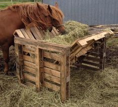 a horse eating hay out of a wooden trough