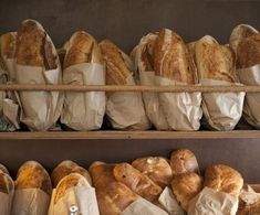 breads and rolls on display in a bakery