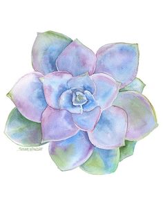 a watercolor painting of a purple succulent