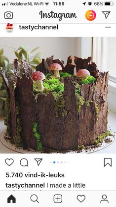 a cake with moss and mushrooms on it is displayed in an instagram post for instagram