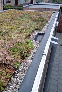 a green roof with rocks and plants growing on it