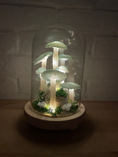 a glass dome filled with mushrooms on top of a wooden table