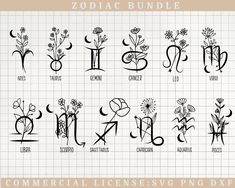 the zodiac symbols are drawn in black ink