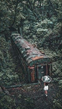 a woman holding an umbrella standing next to a train in the middle of a forest