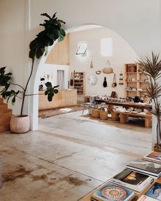 a room filled with lots of different types of furniture and plants on the tables in front of them