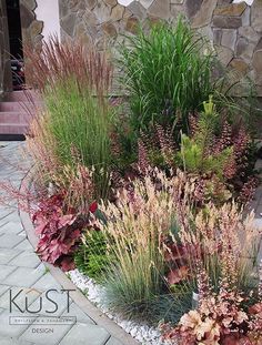 some very pretty plants by the side of a building