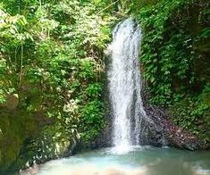 a large waterfall in the middle of a forest filled with lush green plants and trees