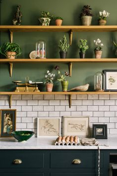 the kitchen counter is covered with potted plants and other things on shelves above it