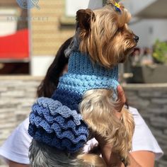 a woman holding two small dogs wearing knitted hats and scarves on their heads