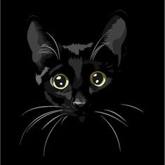 a black cat with yellow eyes looking at the camera, on a black background illustration