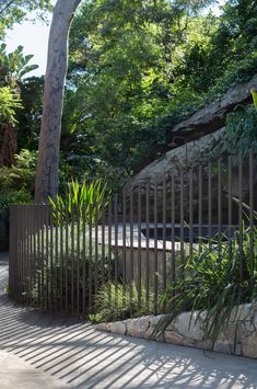 an iron fence is next to a tree and some plants on the side of the road