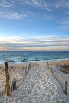 a sandy path leading to the ocean on a sunny day with blue sky and white clouds