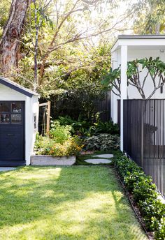 a small backyard with a shed and garden