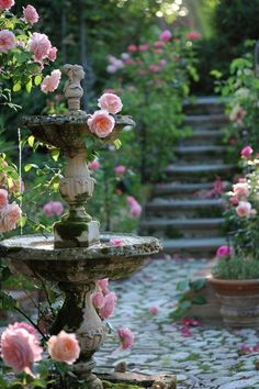 a garden filled with lots of pink flowers next to a stone path and steps leading up to the top