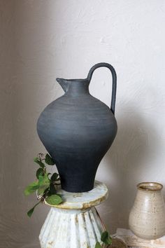 a black vase sitting on top of a white shell next to a potted plant