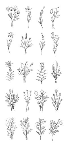 the different types of flowers are drawn in black and white