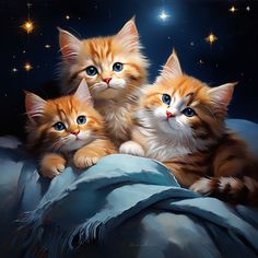 three kittens sitting on top of a blanket in front of the moon and stars