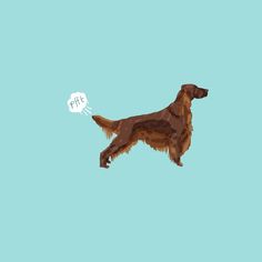 a brown dog with a speech bubble floating in the air on a blue sky background