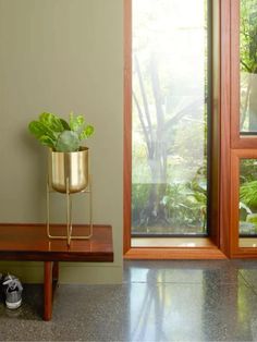 a potted plant sitting on top of a wooden bench in front of a window