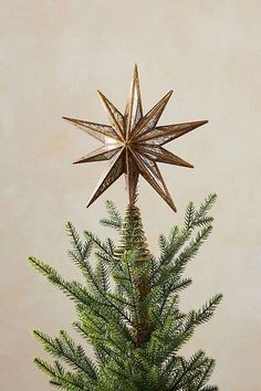 a star decoration on top of a pine tree