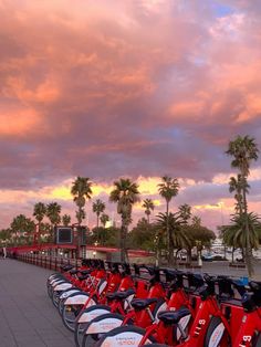 a row of red scooters parked next to each other in front of palm trees