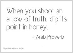 a quote that says when you shoot an arrow of truth, dip its point in honey