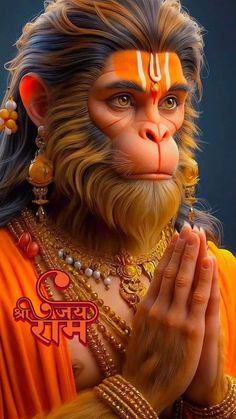 a monkey with his hands clasped in front of him, wearing jewelry and an orange outfit