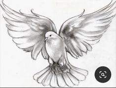 a drawing of a dove with its wings spread out and outstretched in front of the viewer