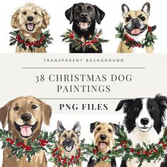 christmas dog paintings in watercolor and ink with the title transparent background 38 christmas dog paintings png files