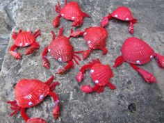 small red crabs are on the rocks by the water