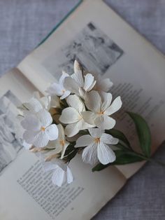 white flowers sitting on top of an open book