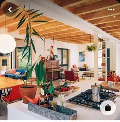 a living room filled with furniture and a potted plant on top of a stove