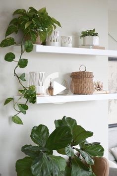 two white shelves with plants and vases on them