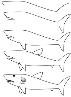 four different types of shark coloring pages