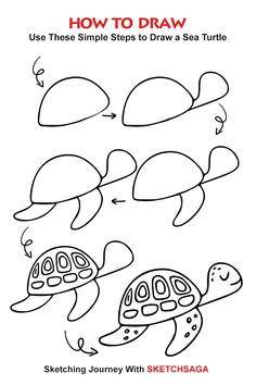 how to draw sea turtles with step by step instructions for children and adults in easy steps