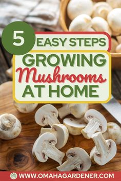 mushrooms on a cutting board with the title 5 easy steps to growing mushrooms at home