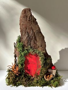 a tree stump with moss growing on it and a red door in the center surrounded by other plants