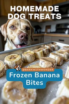 a dog looking at frozen banana bites on a baking sheet with the words homemade dog treats